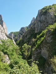 green rocky mountains in spring season on sunny day