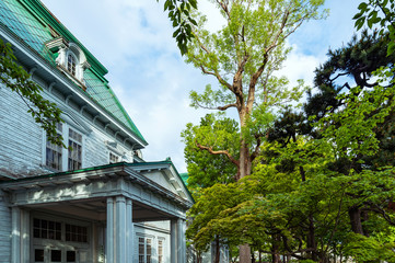 旧青森営林局舎とアメリカトネリコ