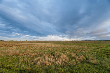 Fototapeta premium field in the village in sunny weather 