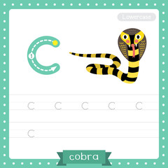 Letter C lowercase tracing practice worksheet. Black and Yellow Cobra snake
