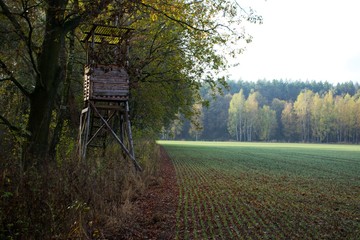 wieża do polowań © mateusz