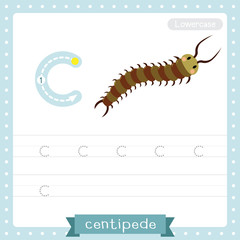 Letter C lowercase tracing practice worksheet. Centipede