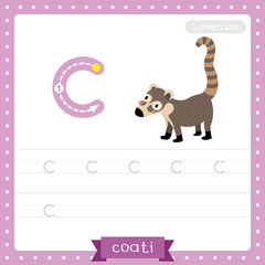 Letter C lowercase tracing practice worksheet. Standing Coati