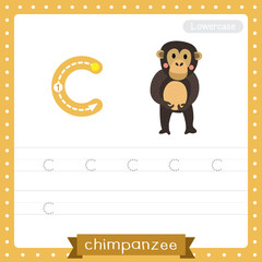 Letter C lowercase tracing practice worksheet. Standing Chimpanzee