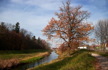 rzeka oława w mieście © mateusz