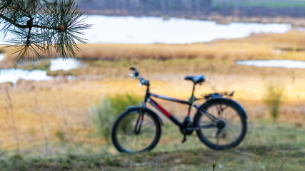 Bicycle on the background of the river. Traveling by bicycle. Pine branch on a blurred background