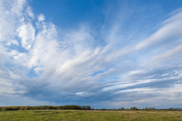 Fototapeta na wymiar field and blue sky with clouds