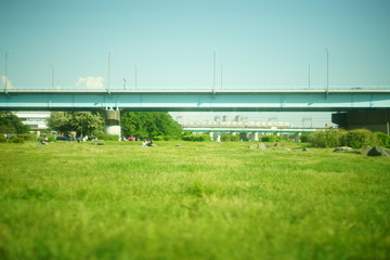 Fototapeta na wymiar 空と橋と芝生