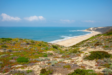 Fototapeta na wymiar Beautiful blossoming hills along the ocean shore in spring on a sunny day. Polvoeira the beach, Portugal, Europe