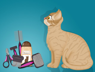 illustration of grooming for cats