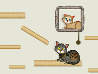 illustration of equipped wall for cats