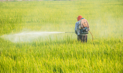 Asian farmers using pesticides Nebulizer