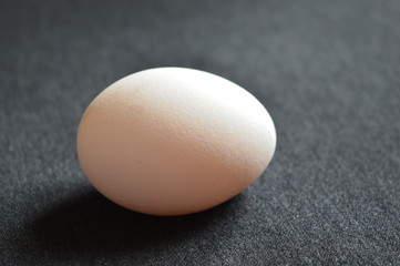 egg on a black background