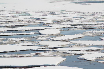 Ice floes on water