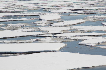 Ice floes on water