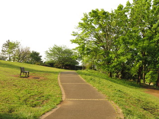 天気の良い日の誰もいない閑散とした公園