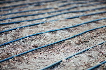 Irrigation system on the plot. The hose is laid out on the ground and ready for watering.