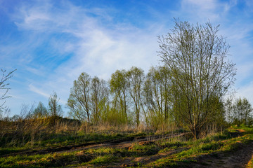 Obraz premium Country road up, beautiful sky