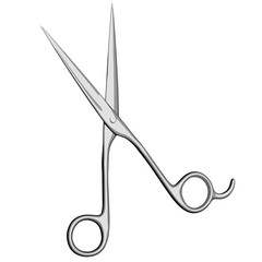 Pair of Scissors Isolated on White - Vector Illustration 