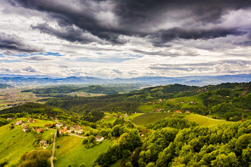 Aerial view of of green hills and vineyards with mountains in background