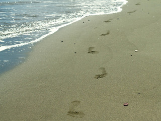 Row of footprints at sandy beach in sunlight