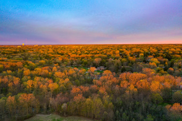 Suburban Michigan area with beautiful spring trees, colorful sky, long view of horizon.