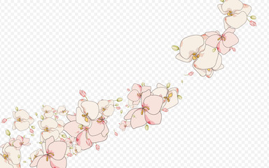 Purple Branch Spring Vector Transparent  © Natallia