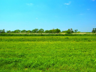 初夏の江戸川河川敷風景