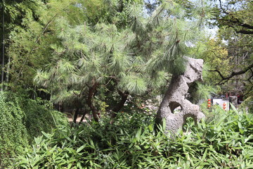 Jardin de la colline du tigre à Suzhou, Chine	