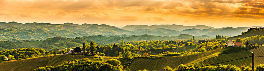 Panoramisch uitzicht op de beroemde wijnstraat in Zuid-Stiermarken, Oostenrijkse bestemming, Toscane zoals wijngaardheuvels.