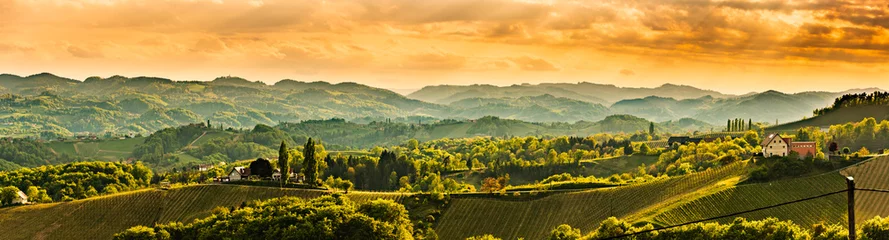 Fotobehang Panoramisch uitzicht op de beroemde wijnstraat in Zuid-Stiermarken, Oostenrijkse bestemming, Toscane zoals wijngaardheuvels. © Przemyslaw Iciak