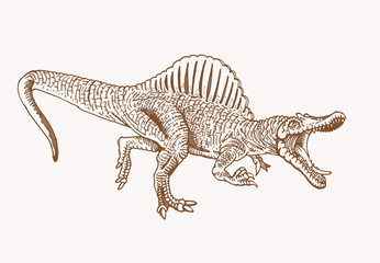 Obraz na płótnie Canvas Vector hand-drawn spinosaurus, graphical sepia illustration, dinosaur 