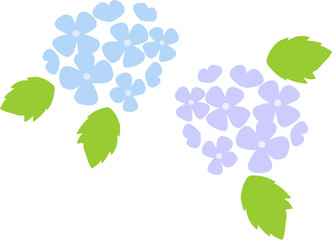 あじさいのイラスト