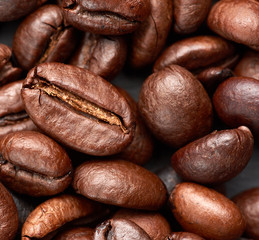 roasted grains of Robusta coffee on a black background, top view