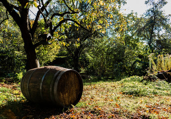 old wine barrel