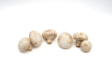 Pile of button mushroom 