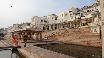lacs sacrés Pushkar
