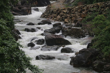 waterfall in the forest