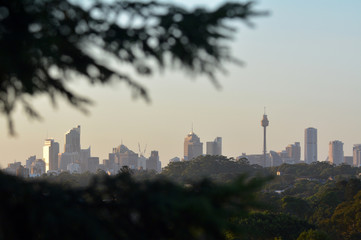 Fototapeta na wymiar Sydney city skyline New South Wales Australia