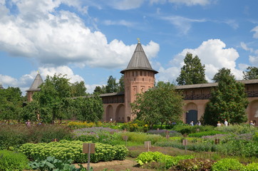 Apothecary garden in the Spaso-Evfimiev monastery in Suzdal. Golden ring of Russia