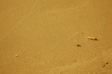 sand_beach