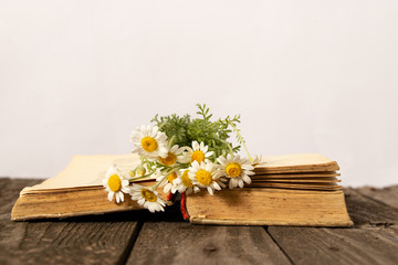 open old book and daisies on a wooden table