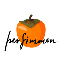 Bright vector illustration of colorful whole of juicy persimmon. Fresh cartoon persimmon isolated on white background with hand lettering.