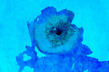 The blue Flower.
Blue monochrome abstract picture of a flower 