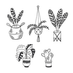 House plants-doodle vector set isolated on white background. Monstera palm, blooming cactus, macrame plant hanger, straw basket hand drawn icons.Modern home, hygge, scandinavian interior.