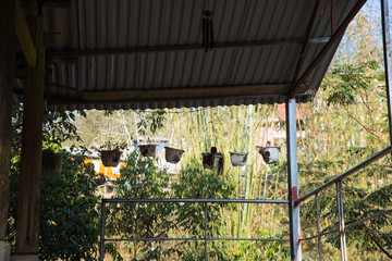 hanging plant pot with a roof