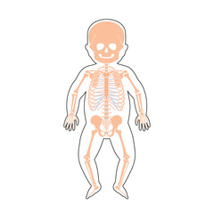 Internal structure of baby body