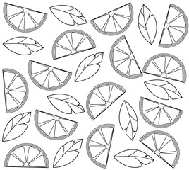vector black and white outline pattern isolated on white background. botanical frame with leaves and orange slices. outline