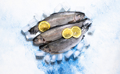 Three fresh raw trouts in ice on a with lemons on a light blue background. Tasty fish ingredient for a healthy dinner