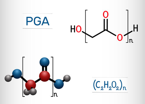 Polyglycolide or polyglycolic acid, PGA molecule. It is a biodegradable, thermoplastic polymer. Structural chemical formula and molecule model